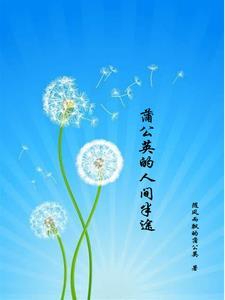不知不觉已经33岁了
