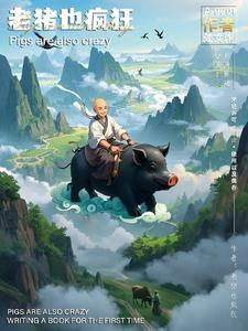 老猪科技有限公司