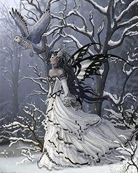 雪豹叼错了尾巴by九流书生笔趣阁未删减版免费观看