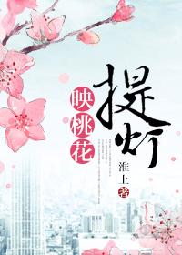 提灯映桃花剧情介绍