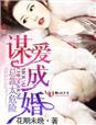 谋爱成婚这个总裁有点猛
