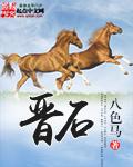 晋石川是什么电视剧