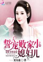 林少锋免费阅读