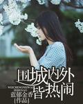 围城内外电视剧剧情介绍