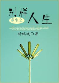 重生之别样人生盘