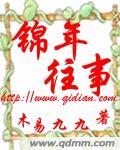 锦年情事是什么意思