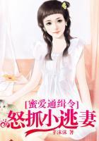 蜜爱游戏全球通缉小逃妻