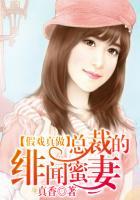 总裁的替身前妻
