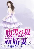 腹黑总裁霸娇妻电视剧免费观看