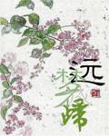 归梦未成心已远