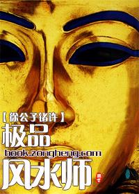极品风水师陈易免费