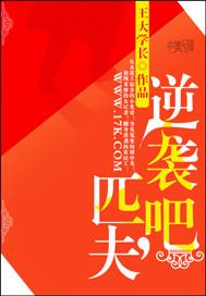 匹夫的逆袭全本