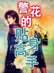 校花的贴身高手副队长