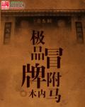 极品驸马扫书