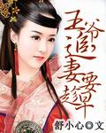 王爷追妻记