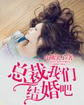 总裁我们结婚吧免费阅读