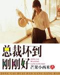 总裁坏坏的爱