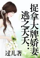 niec什么意思中文翻译