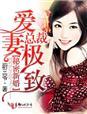 总裁的新婚罪妻免费全文阅读