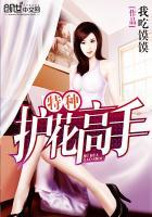 特种护花狂龙txt