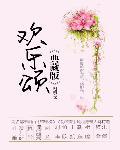 欢乐颂3电视剧全集免费观看完整版