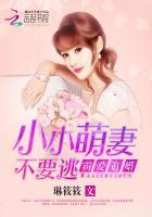 霸宠小小妻慕承衍