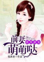 密爱甜宠前夫追小甜妻