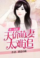 第一甜婚萌宝买一送一免费观看