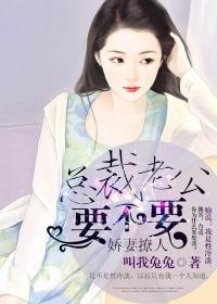 总裁老公娇宠妻全文