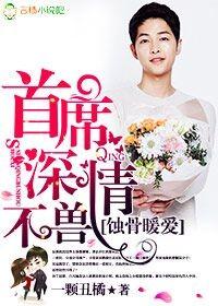 首席夫人要离婚