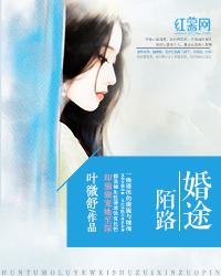 婚途陌路高宏姜漫全文