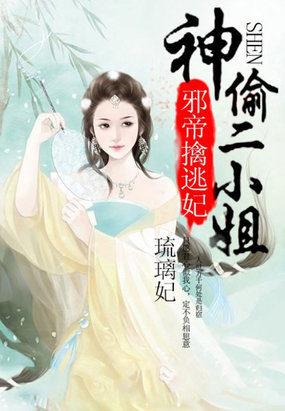 神偷王妃驭夫记