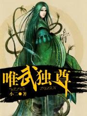 唯武独尊攻略