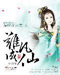 离凡离圣离因离果
