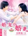 高调婚宠二婚宠入骨