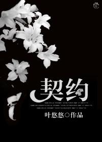 契约兽k1到k9什么意思