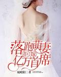 落跑娇妻之天才萌宝