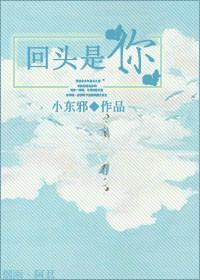 回头是你的一颗心是什么歌曲