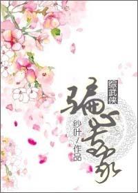 综武侠我心明月