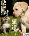 护花高手在都市原版