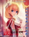 战舰少女提督血统测试
