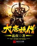大唐妖僧徐青免费