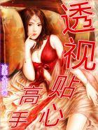 透视贴心高手原版