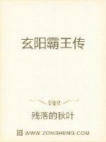 玄阳霸王传