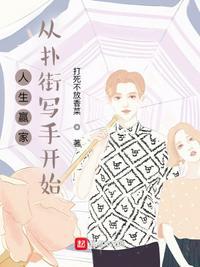 人生赢家：从扑街写手开始沈浩