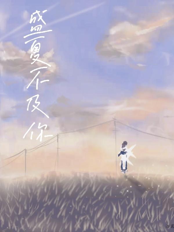 盛夏不及你