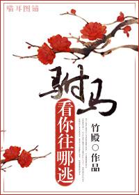 驸马，看你往哪逃
