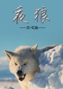 夜狼